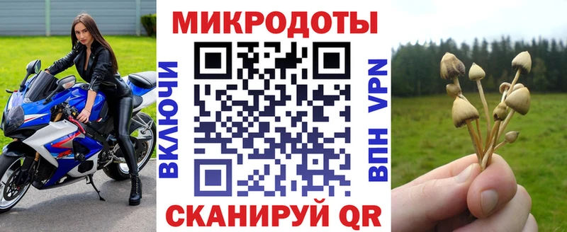 Псилоцибиновые грибы Psilocybine cubensis  купить закладку  Берёзовка 